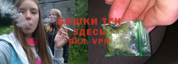 apvp Анива